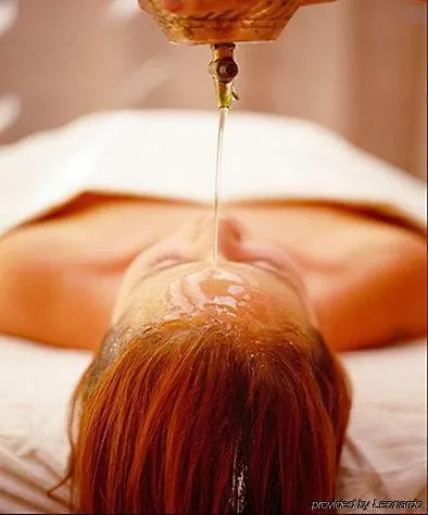 Villa Kerasy Hotel Spa Vannes